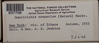 Image Associated With the Occurence